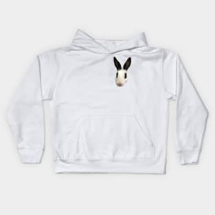 Bunny Rabbit Face Kids Hoodie